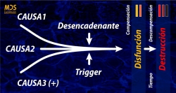 La Neurofocalización