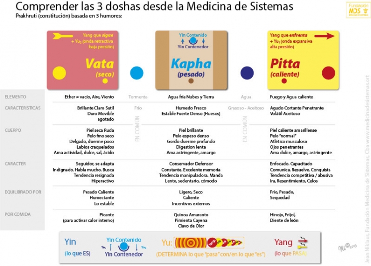 ¿Cómo comprender los 3 Doshas Ayurvedicos desde la Medicina de Sistemas?