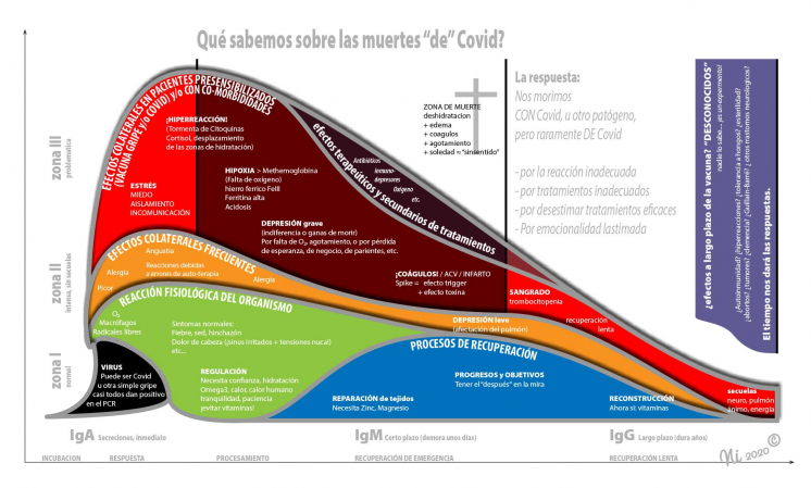 ¿Qué sabemos sobre las causas de muerte del famosísimo virus?